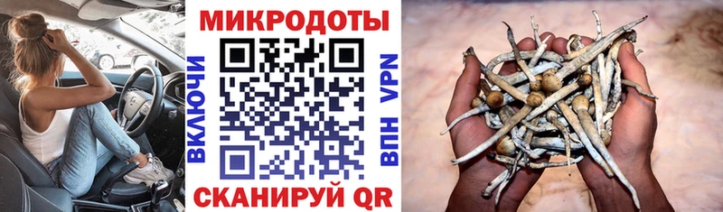 Галлюциногенные грибы Cubensis  Нурлат 