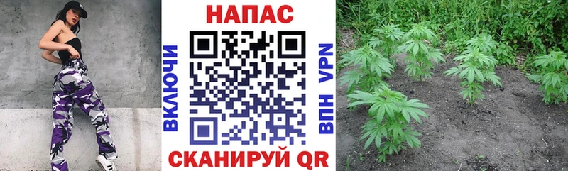 МАРИХУАНА тримм  мега рабочий сайт  Нурлат  купить  сайты 